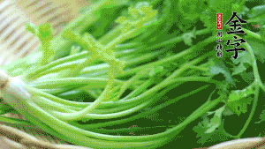 挑選鮮嫩的香菜，洗干凈后，處理成小段。